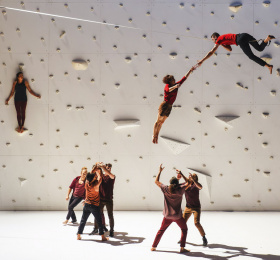 Image Quel(s) cirque(s) ! : Les Fauves et La Nuit du Cirque 