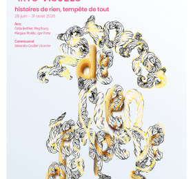 exposition d'été du Prix des Arts visuels "histoires de rien , tempête de tout"