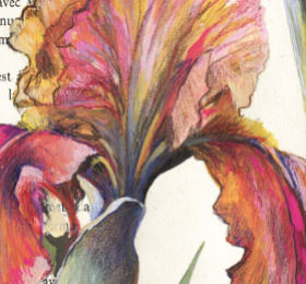 Image Exposition de peinture naturaliste Peinture
