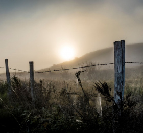 Image D'ici et d'ailleurs - par les Photographes des 3 îles  Photographie