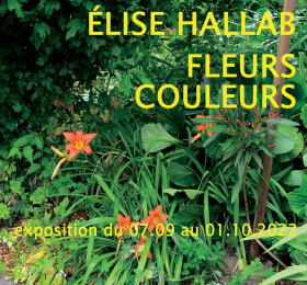 Image Fleurs couleurs Art contemporain