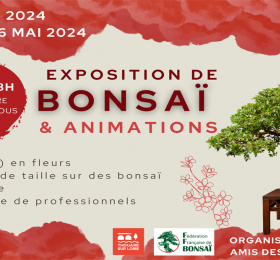 Image Exposition de Bonsaï Exposition collective
