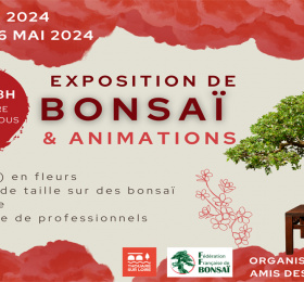 Exposition de Bonsaï