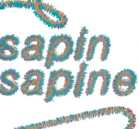 Image Sapin sapine Exposition collective