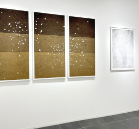 Image Phaenomenon - Rebecca Brueder Art contemporain