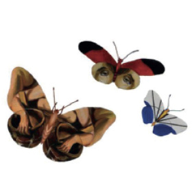 Image La symétrie des rêves, Fabrice Azzolin Science