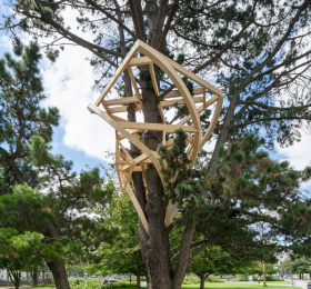 Image Luffy and the tree Art contemporain
