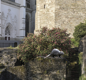 Image Le Voyage à Nantes - Un castor sur un mur Sculpture