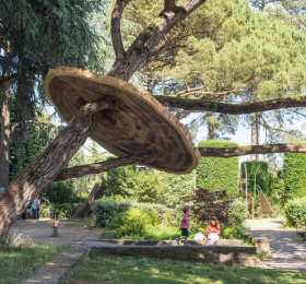 Image Un Pinus pinea en l'an 2252 Art contemporain
