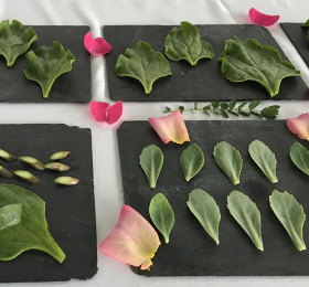 Image Ateliers enfants / Crée une peinture aromatique ! Atelier/Stage