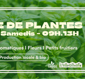 Image Vente de plantes à la ferme Marché/Vente