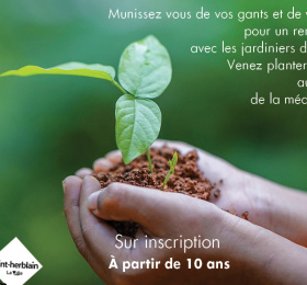 Planter-Protéger
