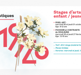 Image Stage arts plastiques 12-15 ans Atelier/Stage