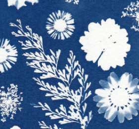 Ateliers enfants - Cyanotype