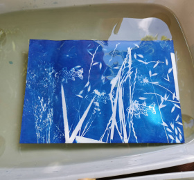 Image Stage cyanotype Atelier/Stage