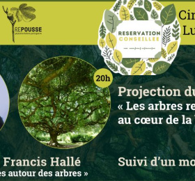 Ciné - Conférence : Francis Halle suivi du film Les arbres remarquables au cœur de la biodiversité