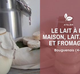 Image Le lait à la maison, laitage et fromage Atelier/Stage