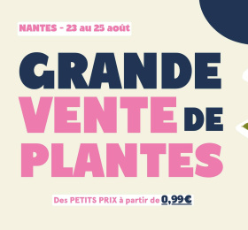 Grande vente de plantes