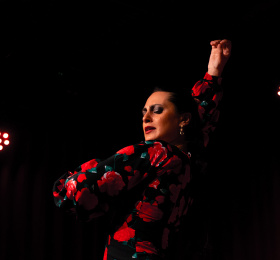 Image Tablao flamenco Danse