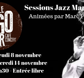 Image Session Jazz Manouche avec Marc Pouplin et ses invités  Jazz/Blues