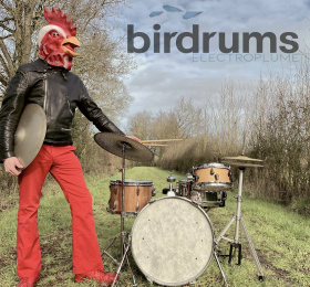 Electroplume - Birdrums kid