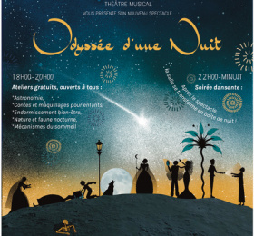 Image Odyssée d'une nuit Spectacle musical/Revue