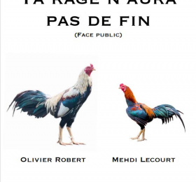 Image Ta rage n'aura pas de fin (face public) Théâtre