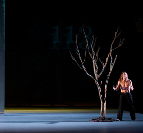 Image  The Tree - Carolyn Carlson  Danse