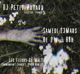 Image Dj set : Petit Potard Electro