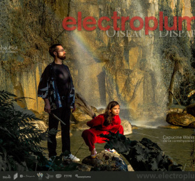 Image Oiseaux disparus d'Electroplume Musiques actuelles