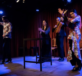 Image Tablao flamenco Danse