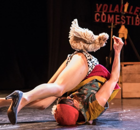 Voler dans les plumes