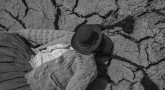 Terres souillées, corps blessés