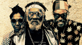 McAnuff Family & The Ligerians + Hornz Please
