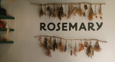 Rosemary